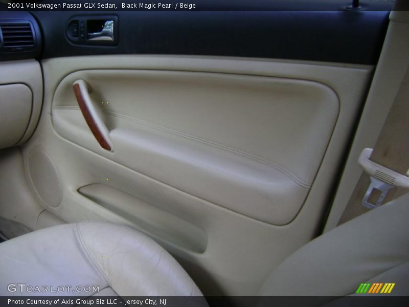 Black Magic Pearl / Beige 2001 Volkswagen Passat GLX Sedan