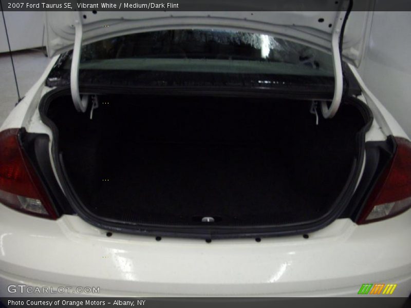 Vibrant White / Medium/Dark Flint 2007 Ford Taurus SE