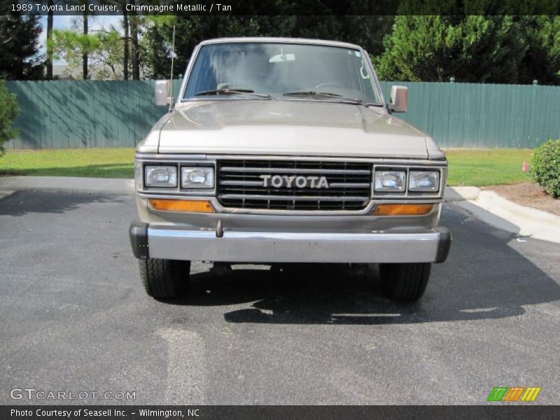 Champagne Metallic / Tan 1989 Toyota Land Cruiser