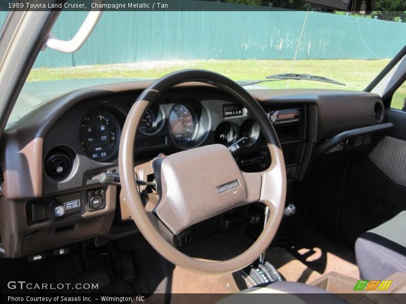 Champagne Metallic / Tan 1989 Toyota Land Cruiser
