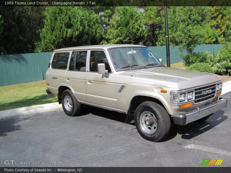 Champagne Metallic / Tan 1989 Toyota Land Cruiser