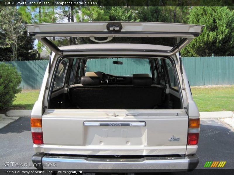 Champagne Metallic / Tan 1989 Toyota Land Cruiser