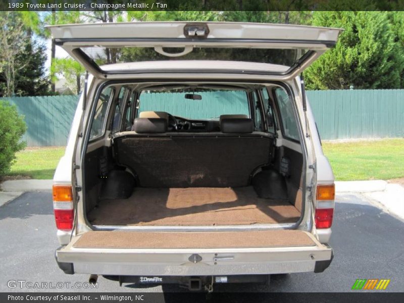 Champagne Metallic / Tan 1989 Toyota Land Cruiser