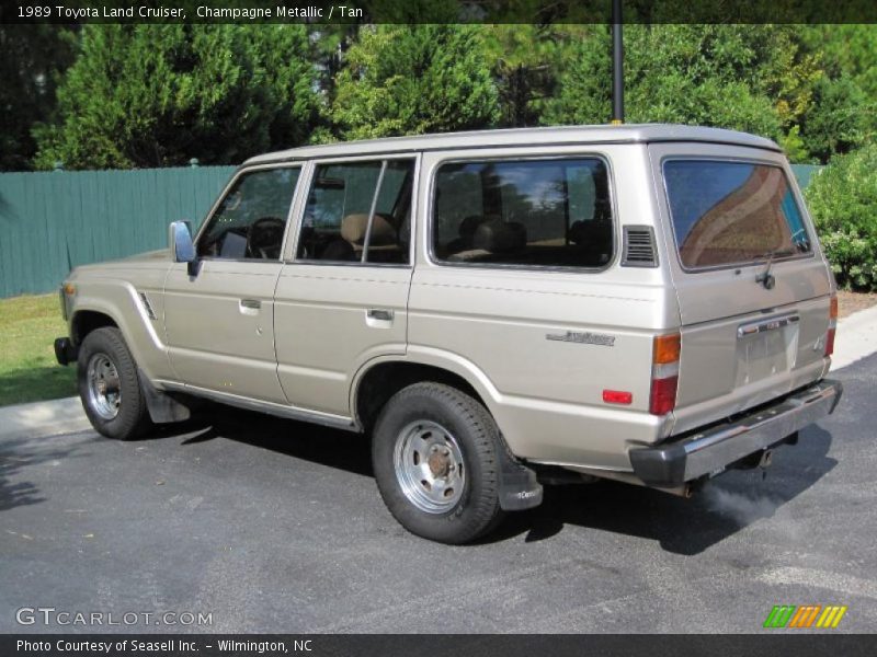 Champagne Metallic / Tan 1989 Toyota Land Cruiser
