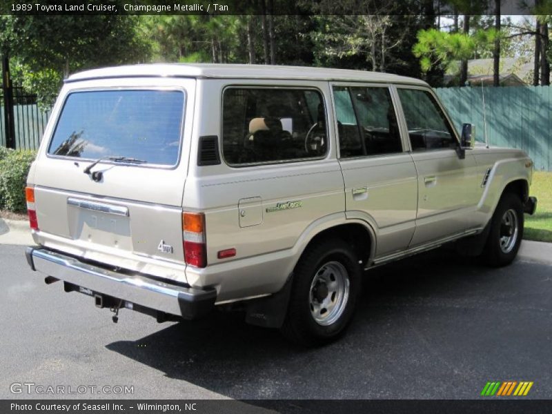 Champagne Metallic / Tan 1989 Toyota Land Cruiser
