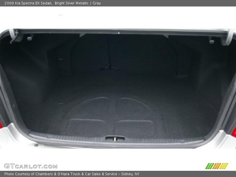 Bright Silver Metallic / Gray 2009 Kia Spectra EX Sedan