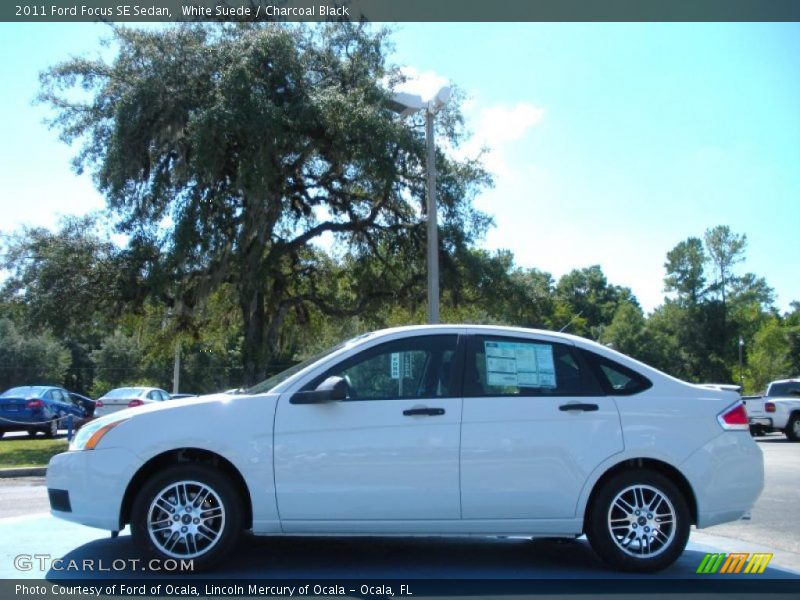 White Suede / Charcoal Black 2011 Ford Focus SE Sedan