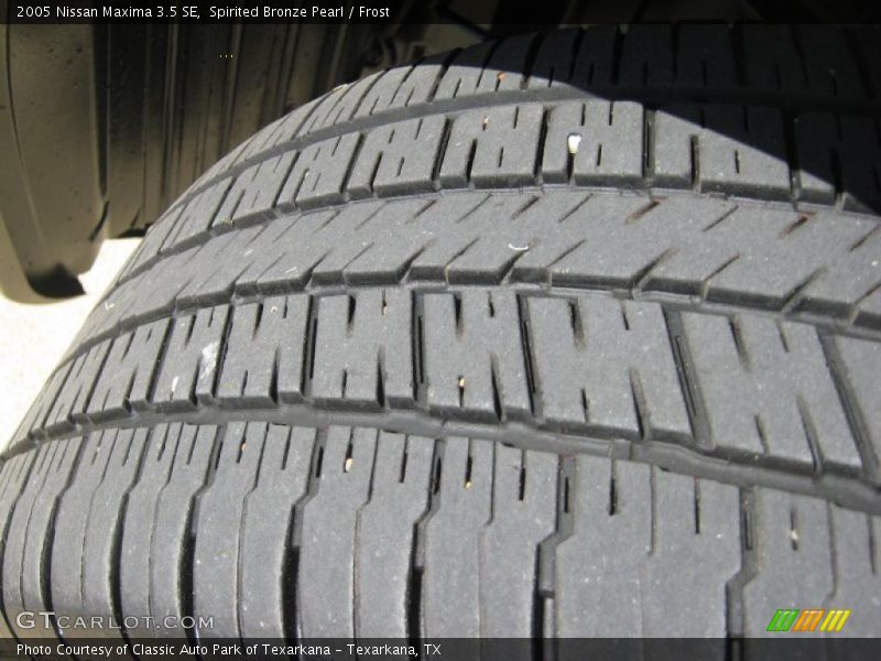 Spirited Bronze Pearl / Frost 2005 Nissan Maxima 3.5 SE