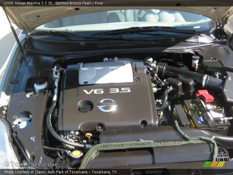 Spirited Bronze Pearl / Frost 2005 Nissan Maxima 3.5 SE