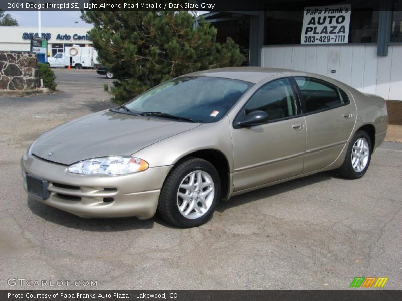 Light Almond Pearl Metallic / Dark Slate Gray 2004 Dodge Intrepid SE