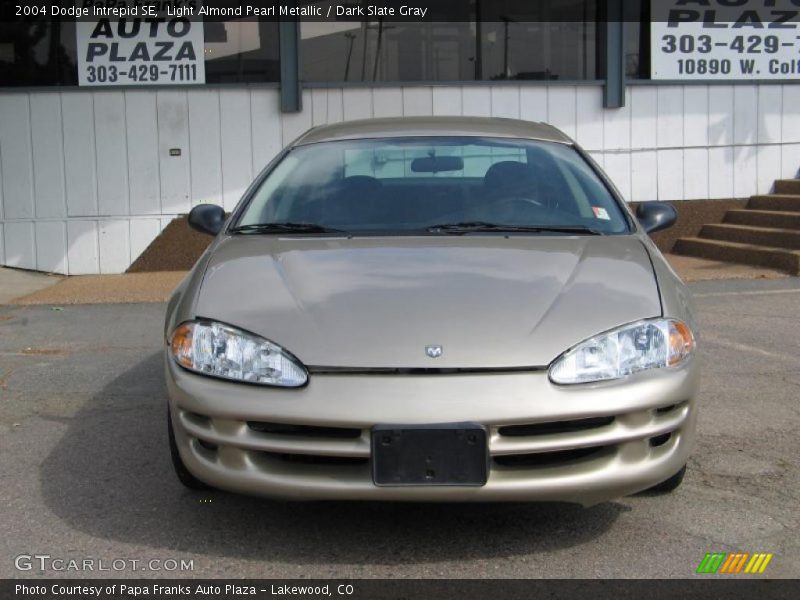 Light Almond Pearl Metallic / Dark Slate Gray 2004 Dodge Intrepid SE