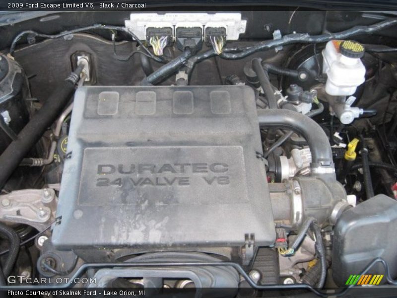 Black / Charcoal 2009 Ford Escape Limited V6