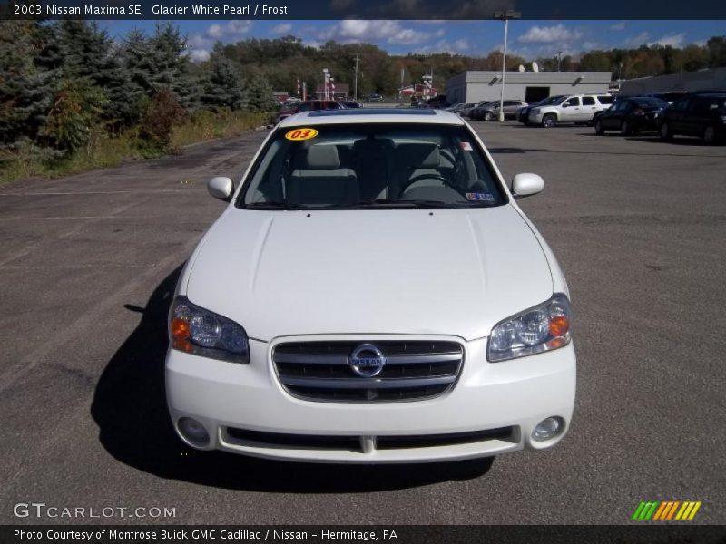 Glacier White Pearl / Frost 2003 Nissan Maxima SE