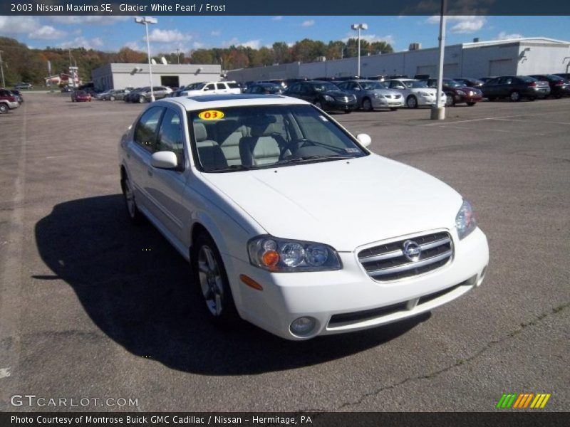Glacier White Pearl / Frost 2003 Nissan Maxima SE
