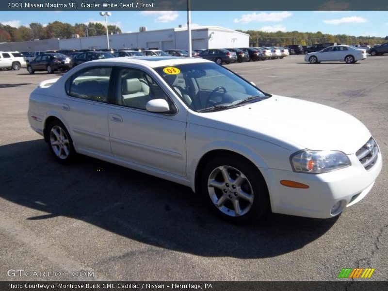 Glacier White Pearl / Frost 2003 Nissan Maxima SE