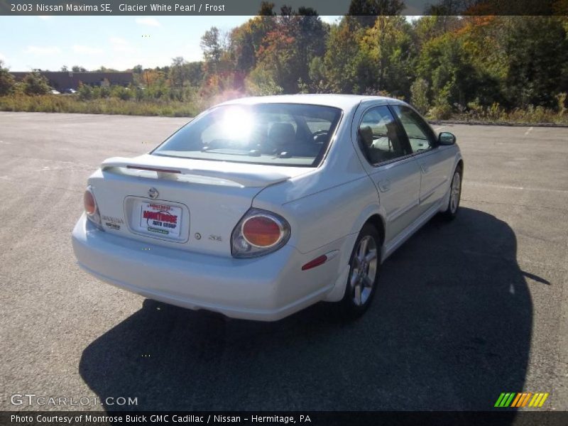 Glacier White Pearl / Frost 2003 Nissan Maxima SE