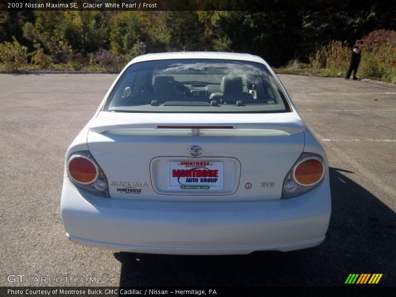 Glacier White Pearl / Frost 2003 Nissan Maxima SE