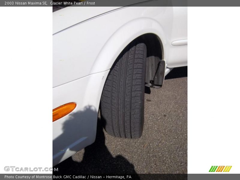 Glacier White Pearl / Frost 2003 Nissan Maxima SE