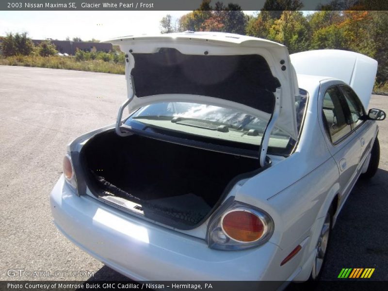Glacier White Pearl / Frost 2003 Nissan Maxima SE
