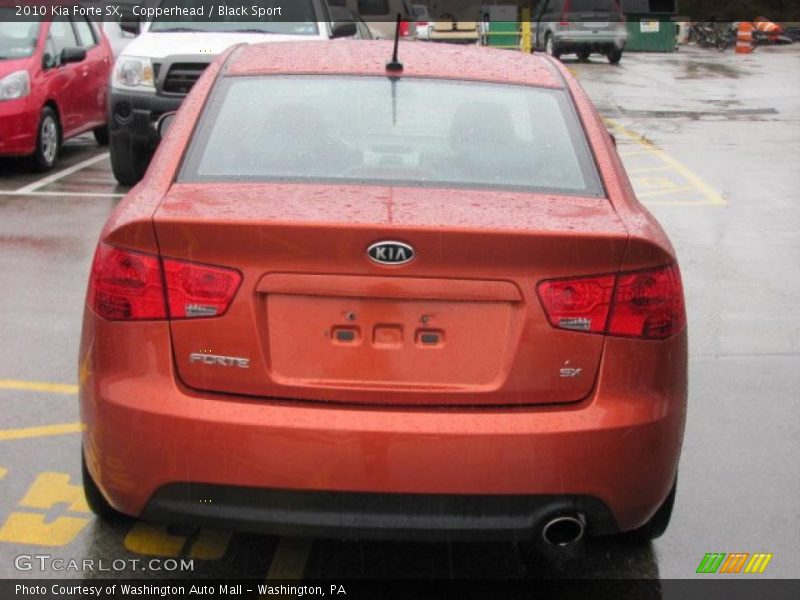 Copperhead / Black Sport 2010 Kia Forte SX