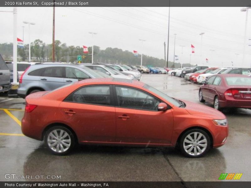 Copperhead / Black Sport 2010 Kia Forte SX