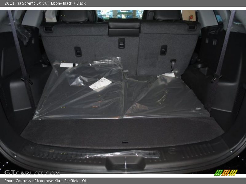 Ebony Black / Black 2011 Kia Sorento SX V6