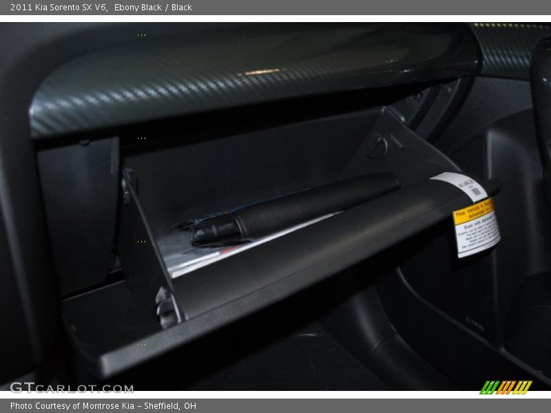 Ebony Black / Black 2011 Kia Sorento SX V6