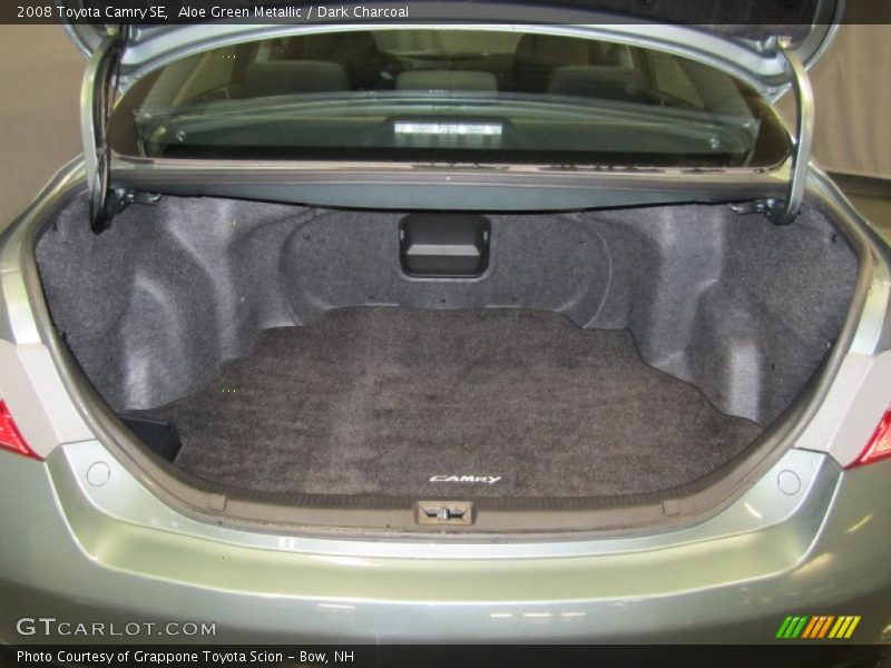 Aloe Green Metallic / Dark Charcoal 2008 Toyota Camry SE