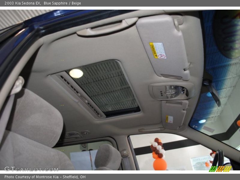 Blue Sapphire / Beige 2003 Kia Sedona EX