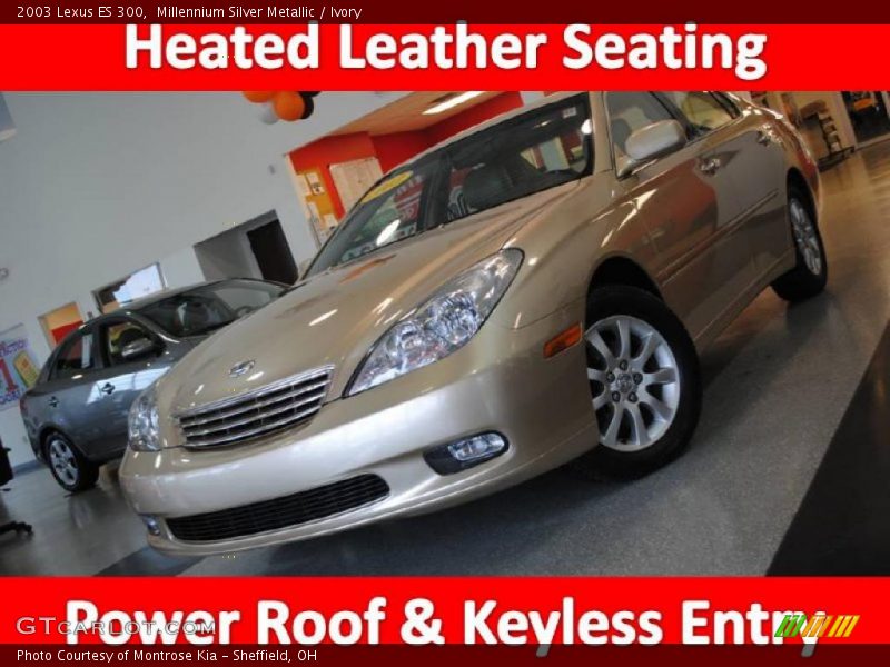 Millennium Silver Metallic / Ivory 2003 Lexus ES 300