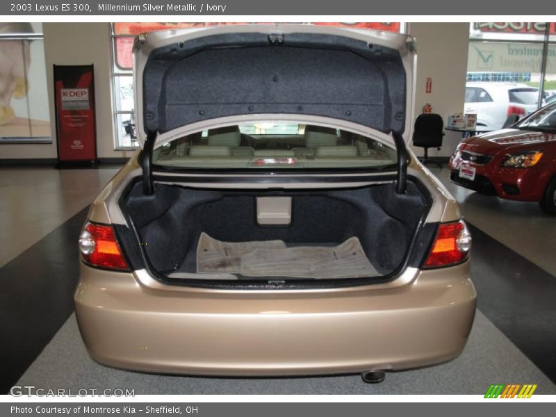 Millennium Silver Metallic / Ivory 2003 Lexus ES 300