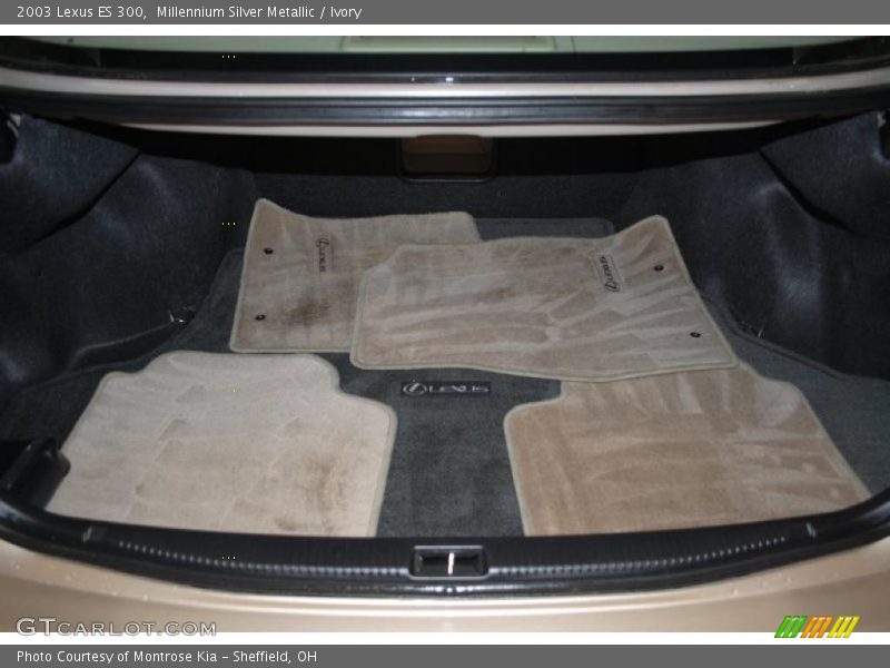 Millennium Silver Metallic / Ivory 2003 Lexus ES 300