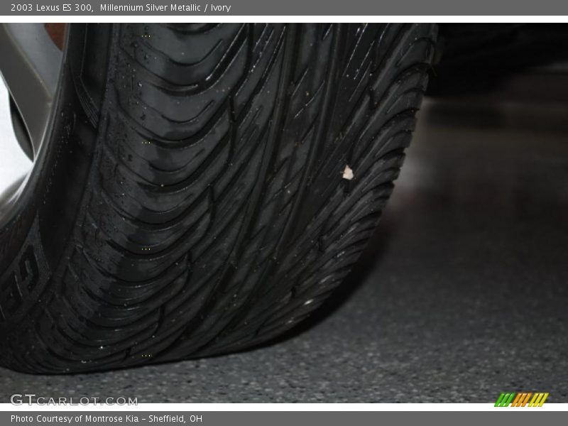 Millennium Silver Metallic / Ivory 2003 Lexus ES 300