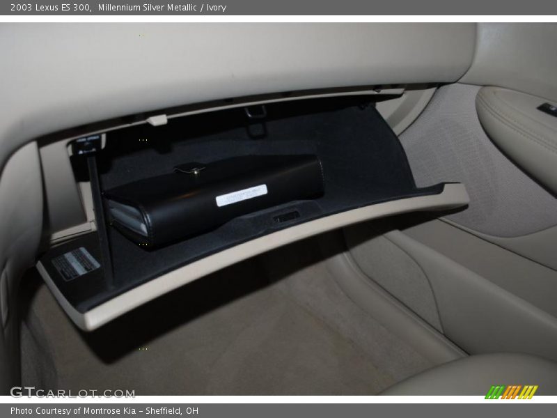 Millennium Silver Metallic / Ivory 2003 Lexus ES 300