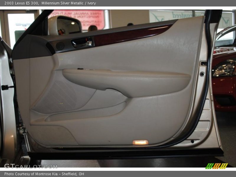 Millennium Silver Metallic / Ivory 2003 Lexus ES 300