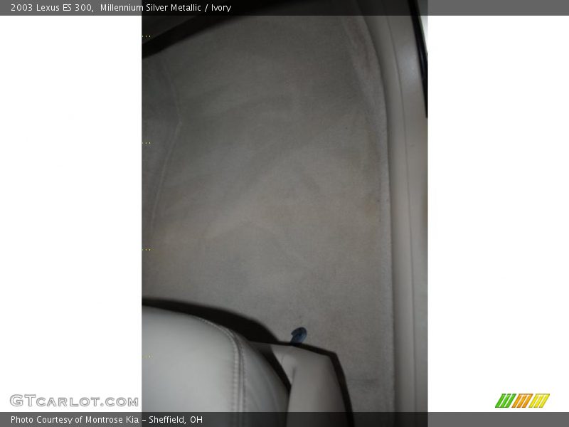 Millennium Silver Metallic / Ivory 2003 Lexus ES 300