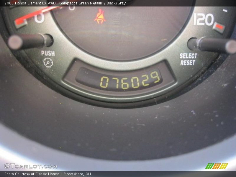 Galapagos Green Metallic / Black/Gray 2005 Honda Element EX AWD
