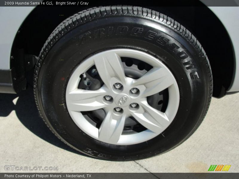 Bright Silver / Gray 2009 Hyundai Santa Fe GLS