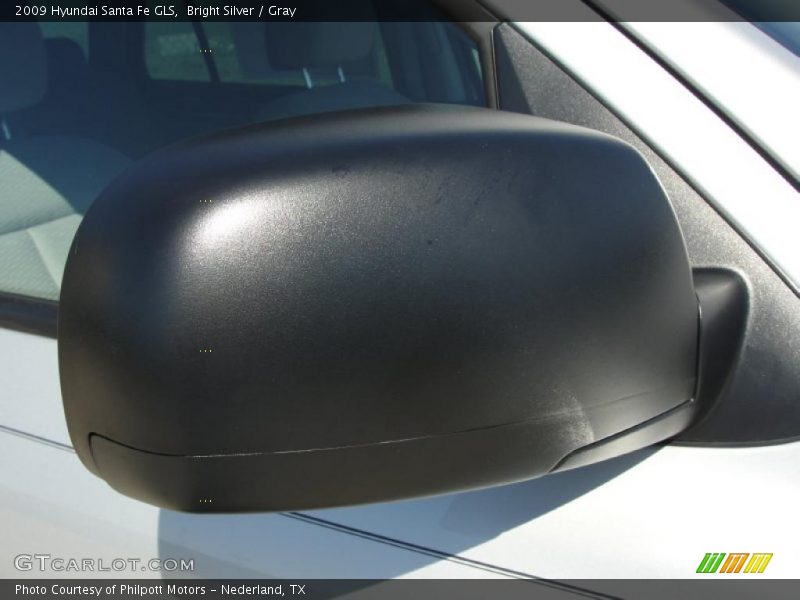 Bright Silver / Gray 2009 Hyundai Santa Fe GLS