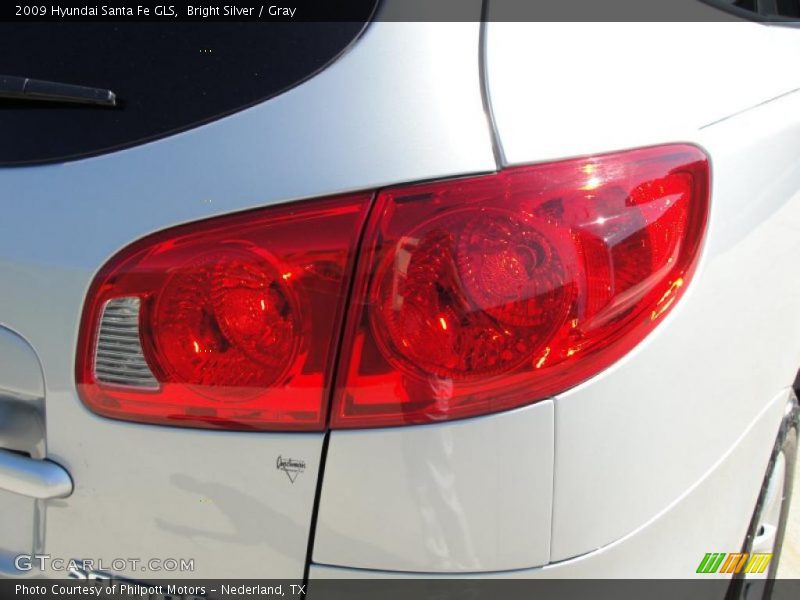 Bright Silver / Gray 2009 Hyundai Santa Fe GLS