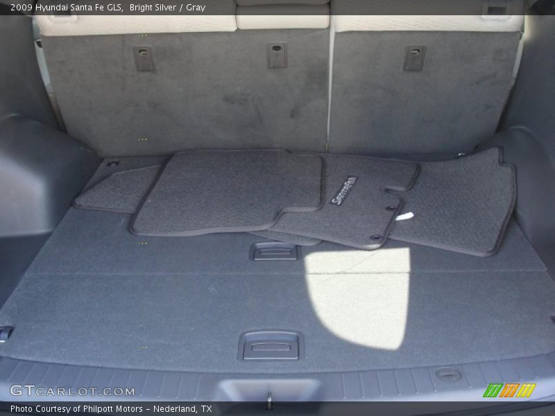 Bright Silver / Gray 2009 Hyundai Santa Fe GLS