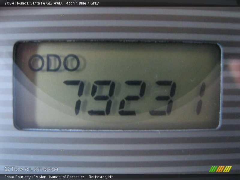 Moonlit Blue / Gray 2004 Hyundai Santa Fe GLS 4WD