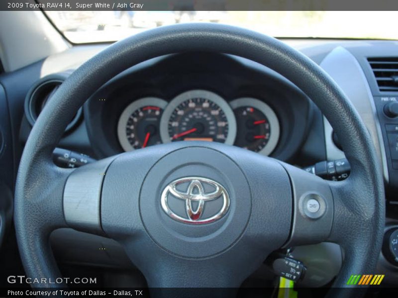 Super White / Ash Gray 2009 Toyota RAV4 I4