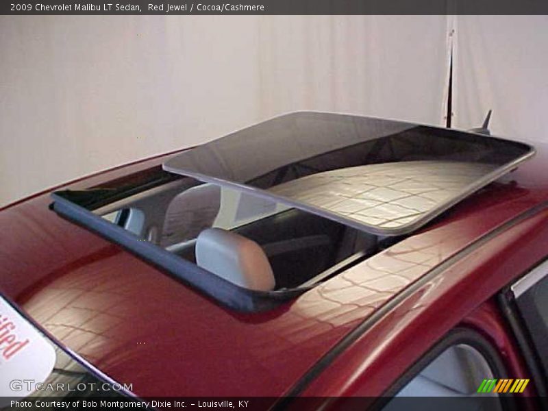 Red Jewel / Cocoa/Cashmere 2009 Chevrolet Malibu LT Sedan