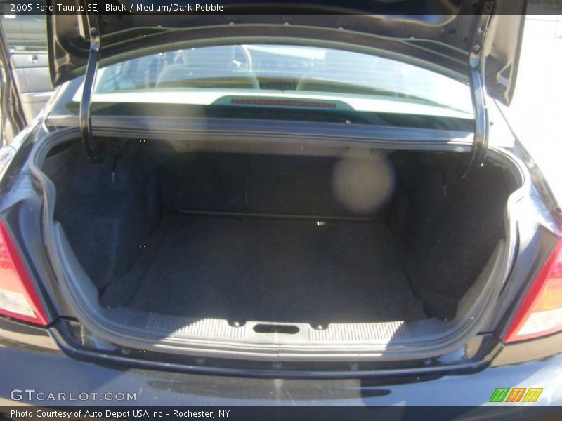 Black / Medium/Dark Pebble 2005 Ford Taurus SE