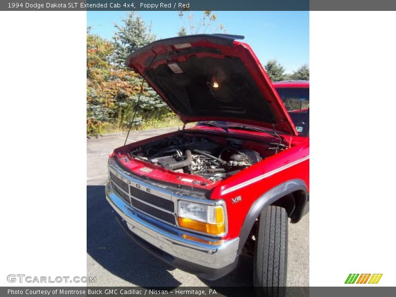 Poppy Red / Red 1994 Dodge Dakota SLT Extended Cab 4x4