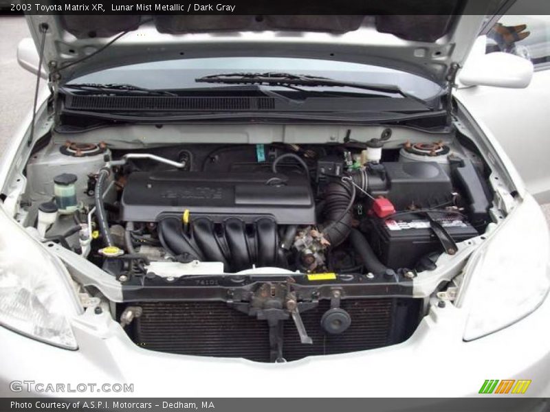 Lunar Mist Metallic / Dark Gray 2003 Toyota Matrix XR