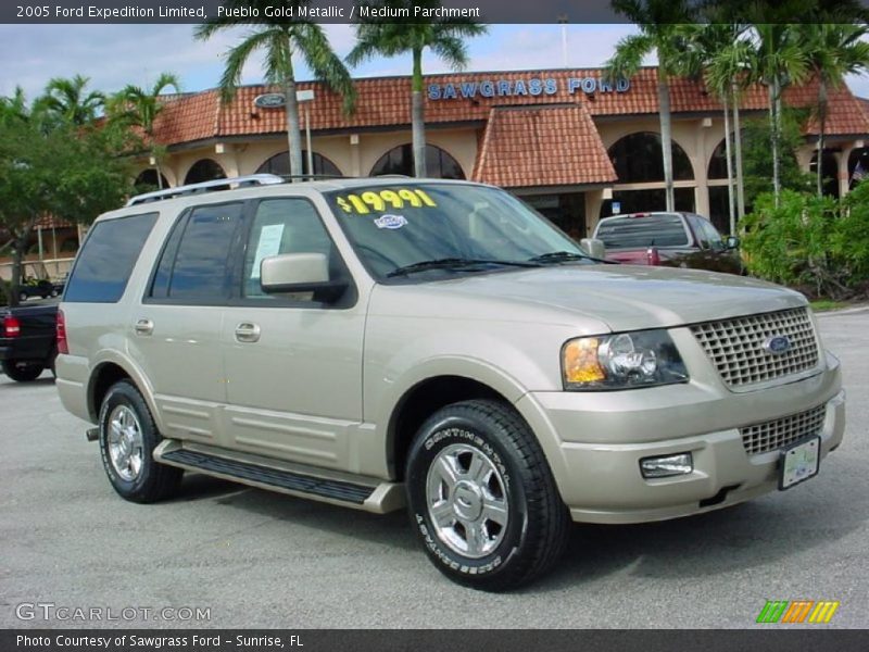 Pueblo Gold Metallic / Medium Parchment 2005 Ford Expedition Limited