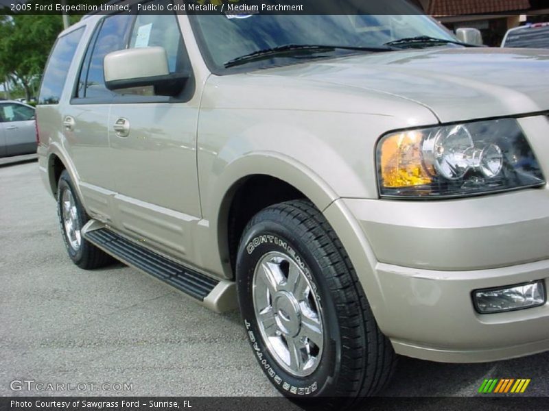 Pueblo Gold Metallic / Medium Parchment 2005 Ford Expedition Limited