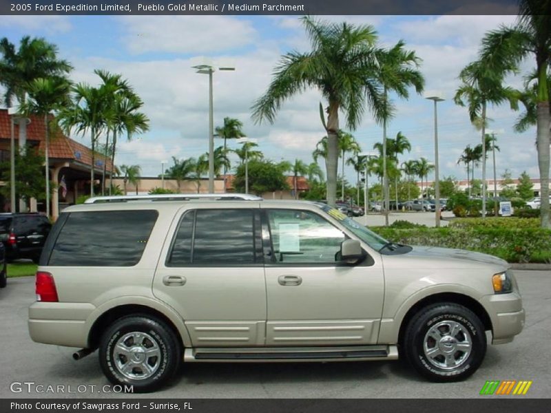 Pueblo Gold Metallic / Medium Parchment 2005 Ford Expedition Limited